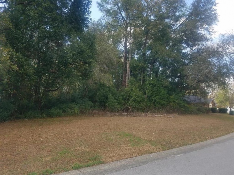0 50TH TERRACE, OCALA, Florida 34471, ,Land,For Sale,50TH,OM634825