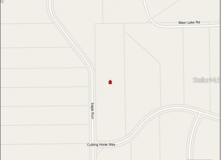 EAGLE RUN, GROVELAND, Florida 34736, ,Land,For Sale,EAGLE,O6006241