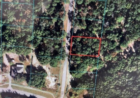 000 HICKORY TRACK DRIVE, OCALA, Florida 34472, ,Land,For Sale,HICKORY TRACK,OM632767