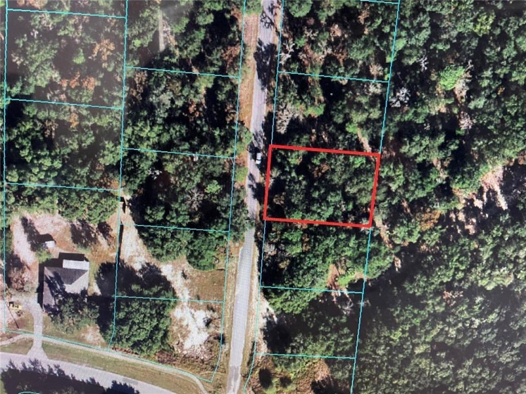 000 HICKORY TRACK DRIVE, OCALA, Florida 34472, ,Land,For Sale,HICKORY TRACK,OM632767