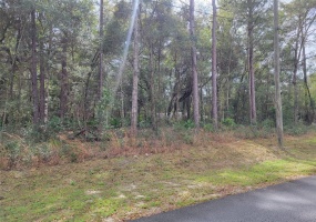 00 14 STREET, OCALA, Florida 34482, ,Land,For Sale,14,OM634474