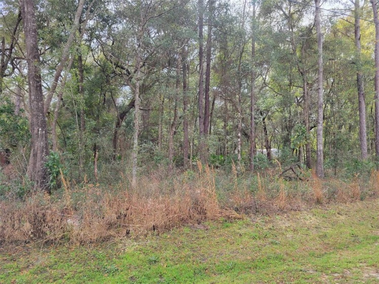 00 14 STREET, OCALA, Florida 34482, ,Land,For Sale,14,OM634474