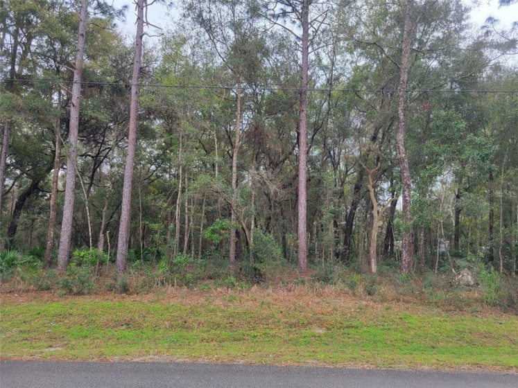 00 14 STREET, OCALA, Florida 34482, ,Land,For Sale,14,OM634474