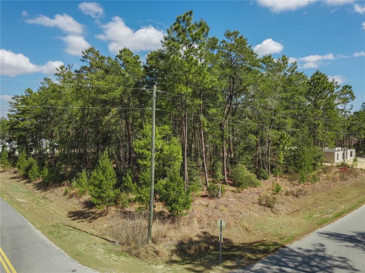 TBD 116TH PLACE, OCALA, Florida 34476, ,Land,For Sale,116TH,OM634757