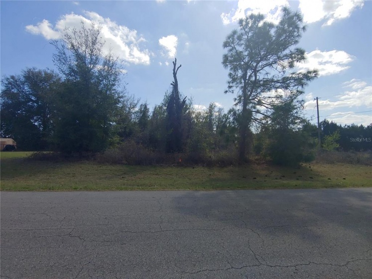 Lot 3 129 PLACE ROAD, OCALA, Florida 34481, ,Land,For Sale,129 PLACE,OM634786