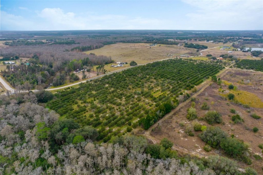 LAKE NELLIE ROAD, CLERMONT, Florida 34714, ,Land,For Sale,LAKE NELLIE,G5052246
