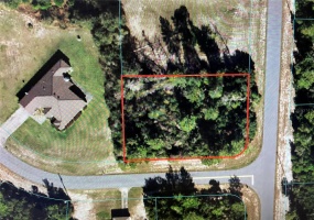 000 175 LOOP, OCALA, Florida 34473, ,Land,For Sale,175,OM634930