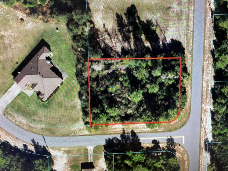 000 175 LOOP, OCALA, Florida 34473, ,Land,For Sale,175,OM634930