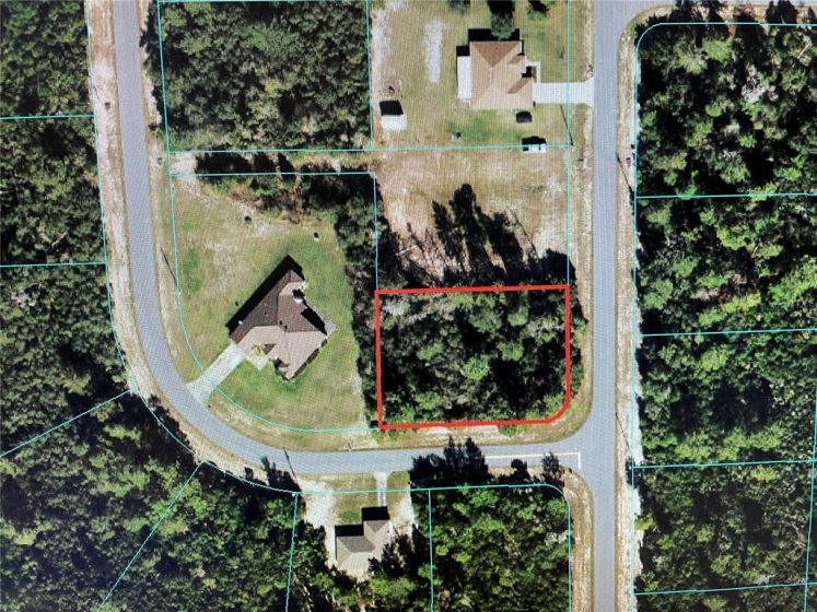 000 175 LOOP, OCALA, Florida 34473, ,Land,For Sale,175,OM634930
