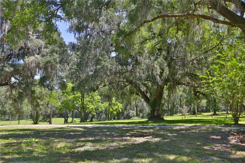 6645 27 HIGHWAY, OCALA, Florida 34482, 3 Bedrooms Bedrooms, ,3 BathroomsBathrooms,Residential,For Sale,27,OM634739