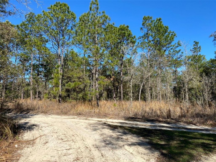 TBD 38TH PLACE, OCALA, Florida 34481, ,Land,For Sale,38TH,OM634950