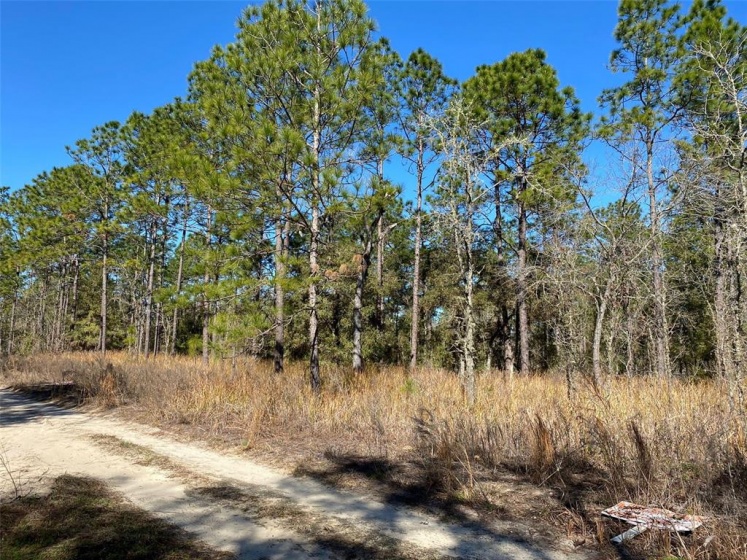 TBD 38TH PLACE, OCALA, Florida 34481, ,Land,For Sale,38TH,OM634950