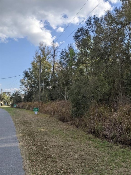 5910 SW 111TH PLACE RD, OCALA, Florida 34476, ,Land,For Sale,SW 111TH PLACE RD,T3357644