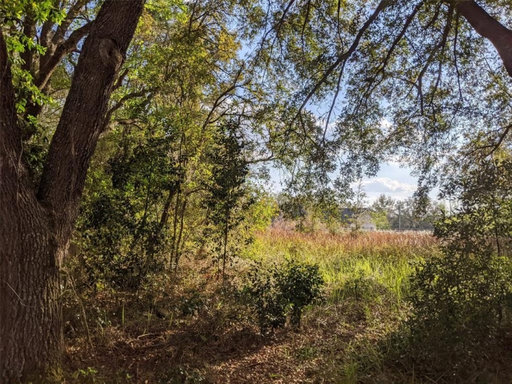 5910 SW 111TH PLACE RD, OCALA, Florida 34476, ,Land,For Sale,SW 111TH PLACE RD,T3357644