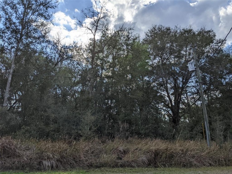 5910 SW 111TH PLACE RD, OCALA, Florida 34476, ,Land,For Sale,SW 111TH PLACE RD,T3357644