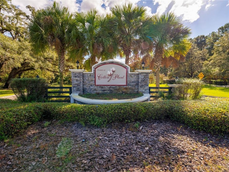 144TH COURT ROAD, OCALA, Florida 34481, ,Land,For Sale,144TH COURT ROAD,OM630494