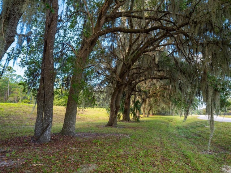 144TH COURT ROAD, OCALA, Florida 34481, ,Land,For Sale,144TH COURT ROAD,OM630494