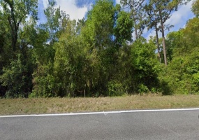 POINCIANA BOULEVARD, DAVENPORT, Florida 33896, ,Land,For Sale,POINCIANA,U8153499