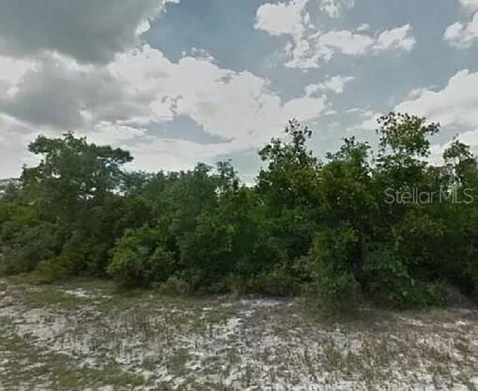 1246 BALTIC DRIVE, POINCIANA, Florida 34759, ,Land,For Sale,BALTIC,O6007004