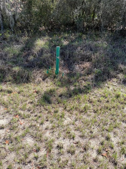1401 SARASOTA COURT, POINCIANA, Florida 34759, ,Land,For Sale,SARASOTA,O6006977