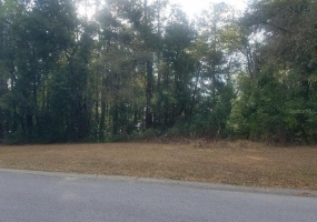 0 43RD STREET, OCALA, Florida 34480, ,Land,For Sale,43RD,OM635053