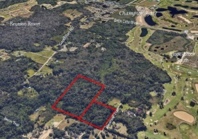 PAWNEE TRAIL, KISSIMMEE, Florida 34747, ,Land,For Sale,PAWNEE,R4905225