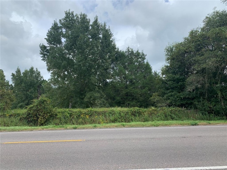 6498 FL-33, GROVELAND, Florida 34736, ,Land,For Sale,FL-33,O6007476