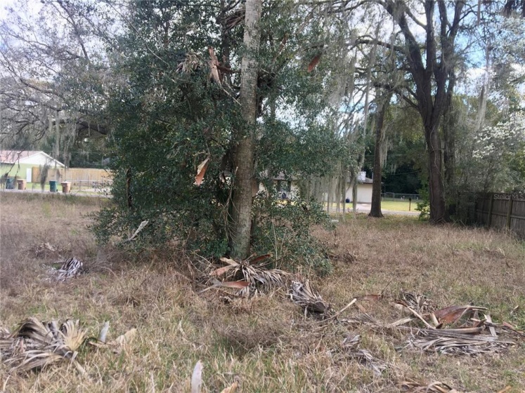 TBD 8 PLACE, OCALA, Florida 34470, ,Land,For Sale,8,OM635115
