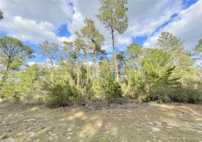 TBD 44TH CIRCLE, OCALA, Florida 34473, ,Land,For Sale,44TH,OM635127