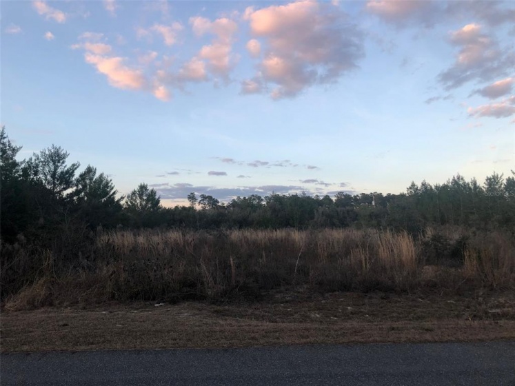 3931 SW 113TH PL, OCALA, Florida 34476, ,Land,For Sale,SW 113TH PL,OM633706