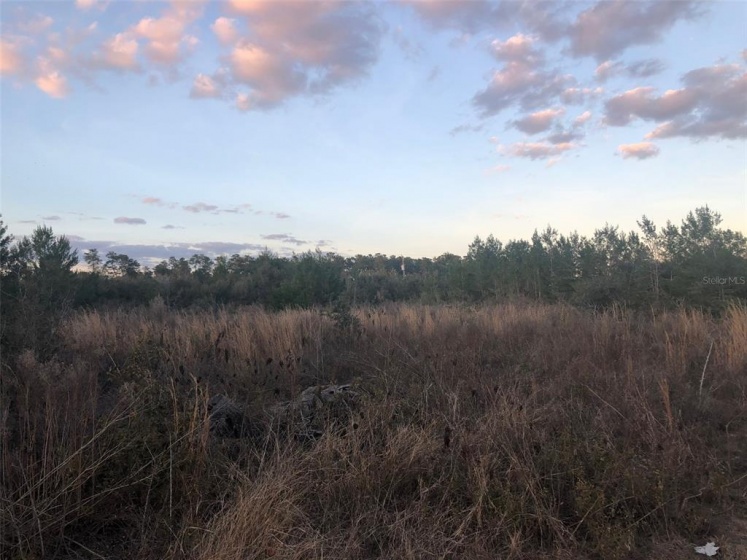 3931 SW 113TH PL, OCALA, Florida 34476, ,Land,For Sale,SW 113TH PL,OM633706
