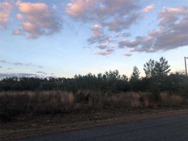 3931 SW 113TH PL, OCALA, Florida 34476, ,Land,For Sale,SW 113TH PL,OM633706