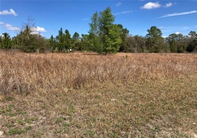 26TH LANE, OCALA, Florida 34481, ,Land,For Sale,26TH,OM634212