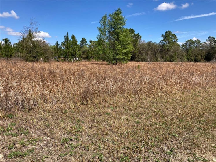 26TH LANE, OCALA, Florida 34481, ,Land,For Sale,26TH,OM634212