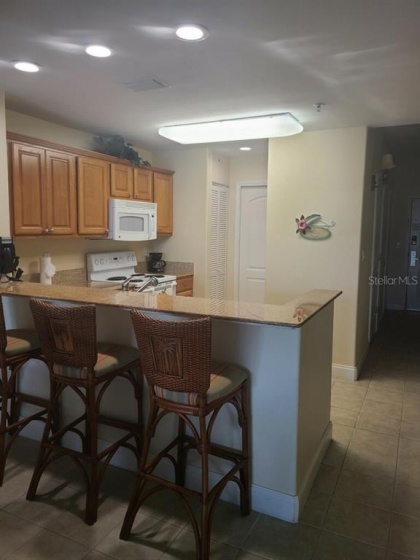 13427 BLUE HERON BEACH DRIVE, ORLANDO, Florida 32821, 2 Bedrooms Bedrooms, ,2 BathroomsBathrooms,Residential,For Sale,BLUE HERON BEACH,S5063601