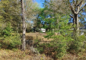 TBD 61ST LANE, OCALA, Florida 34482, ,Land,For Sale,61ST,OM635101