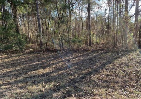 132 PLACE, OCALA, Florida 34473, ,Land,For Sale,132,OM635153