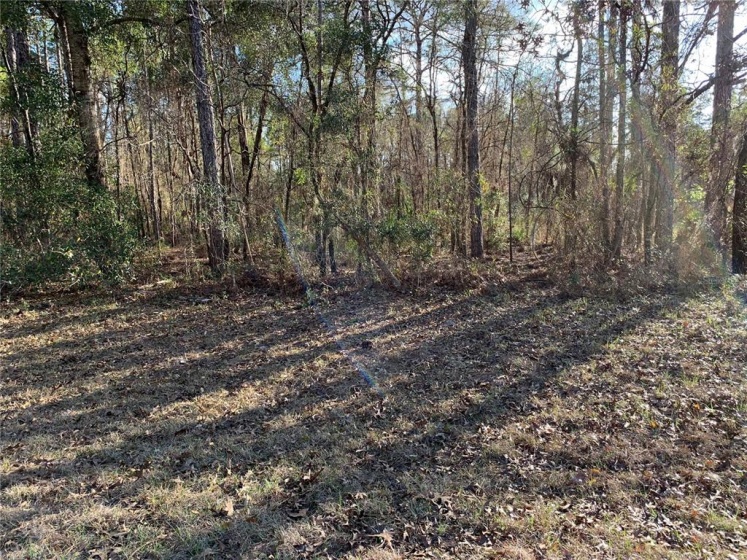 132 PLACE, OCALA, Florida 34473, ,Land,For Sale,132,OM635153