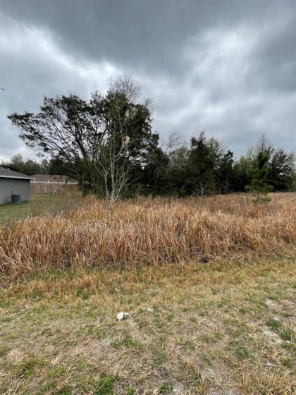 0 DOGWOOD CRSE DRIVE, OCALA, Florida 34470, ,Land,For Sale,DOGWOOD CRSE,OM635188