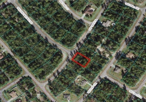 Lot 16 169TH PLACE, OCALA, Florida 34473, ,Land,For Sale,169TH,OM634427