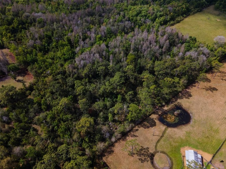 SAINT CLOUD, Florida 34772, ,Land,For Sale,J942397