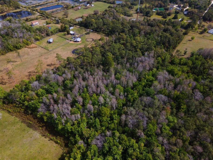 SAINT CLOUD, Florida 34772, ,Land,For Sale,J942397