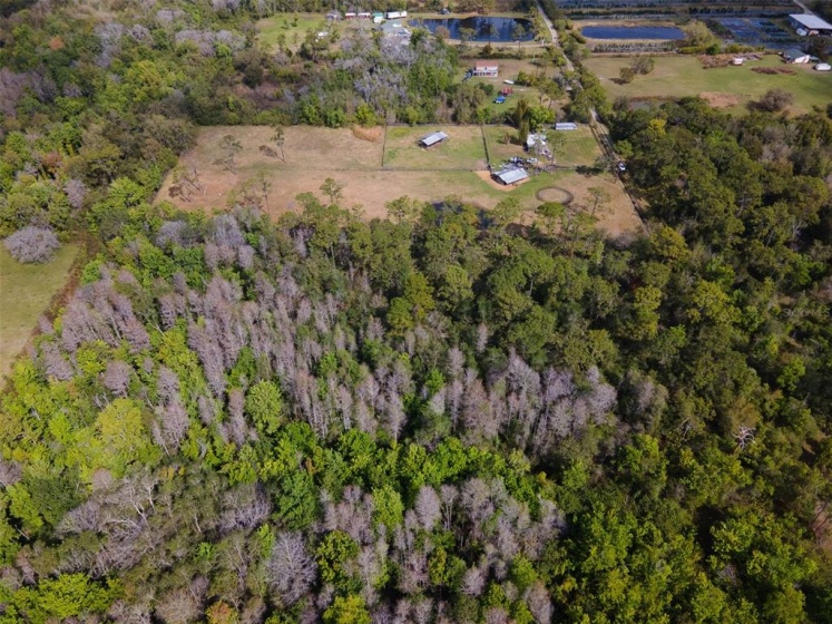 SAINT CLOUD, Florida 34772, ,Land,For Sale,J942397