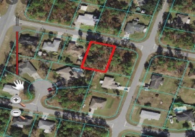 TBD PECAN PASS TRAIL, OCALA, Florida 34472, ,Land,For Sale,PECAN PASS,OM635224