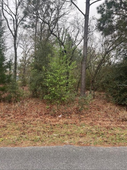 TBD PECAN PASS TRAIL, OCALA, Florida 34472, ,Land,For Sale,PECAN PASS,OM635224