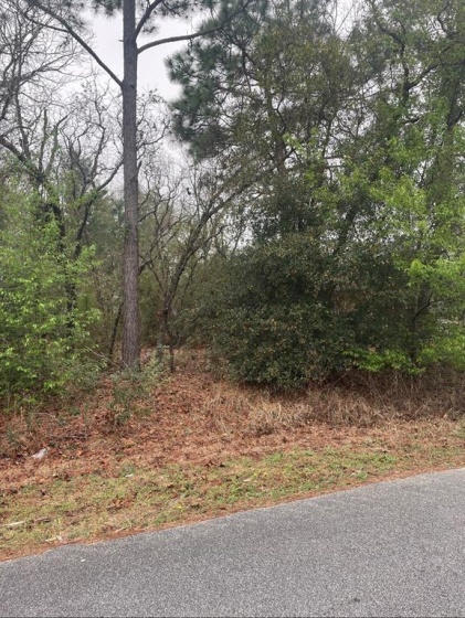 TBD PECAN PASS TRAIL, OCALA, Florida 34472, ,Land,For Sale,PECAN PASS,OM635224