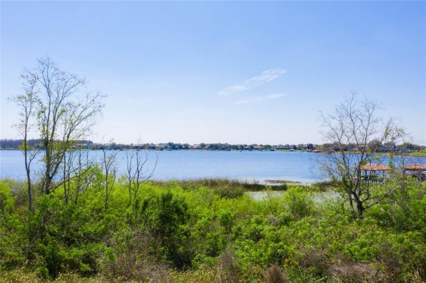 14544 AVENUE OF THE RUSHES, WINTER GARDEN, Florida 34787, ,Land,For Sale,AVENUE OF THE RUSHES,O6001363