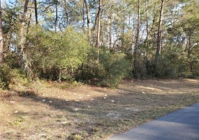 0 33 TERRACE, OCALA, Florida 34473, ,Land,For Sale,33,OM635204