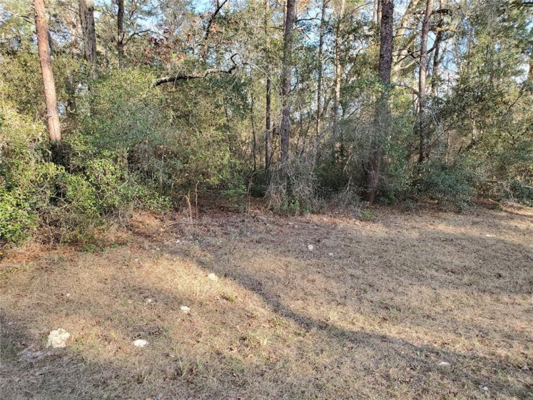 0 33 TERRACE, OCALA, Florida 34473, ,Land,For Sale,33,OM635204