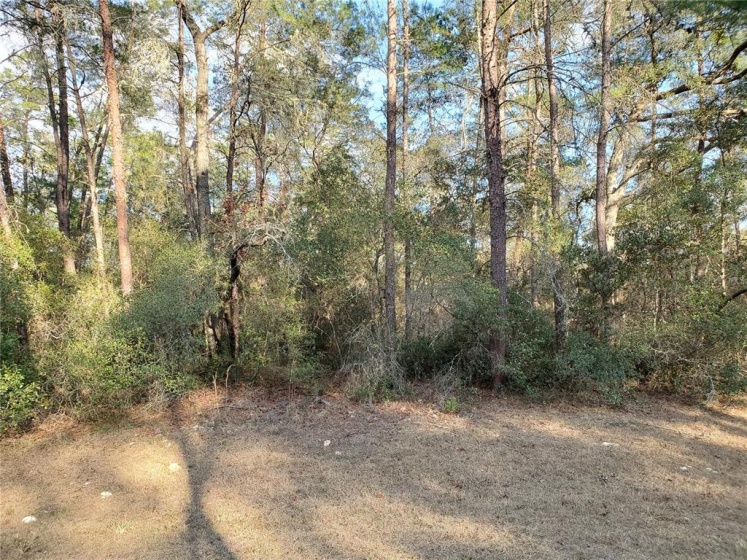 0 33 TERRACE, OCALA, Florida 34473, ,Land,For Sale,33,OM635204